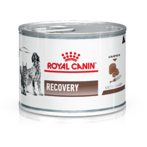 Royal Canin lata Recovery 145gr