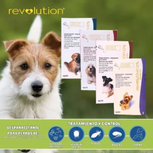 Revolution Dog 12%