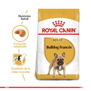 Royal Canin Bulldog Frances Adult
