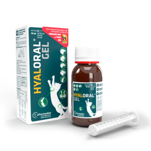 Hyaloral Gel Puppy 50ml