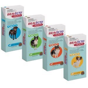 Bravecto Dog 1M