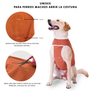 Body de Cobre Castracion