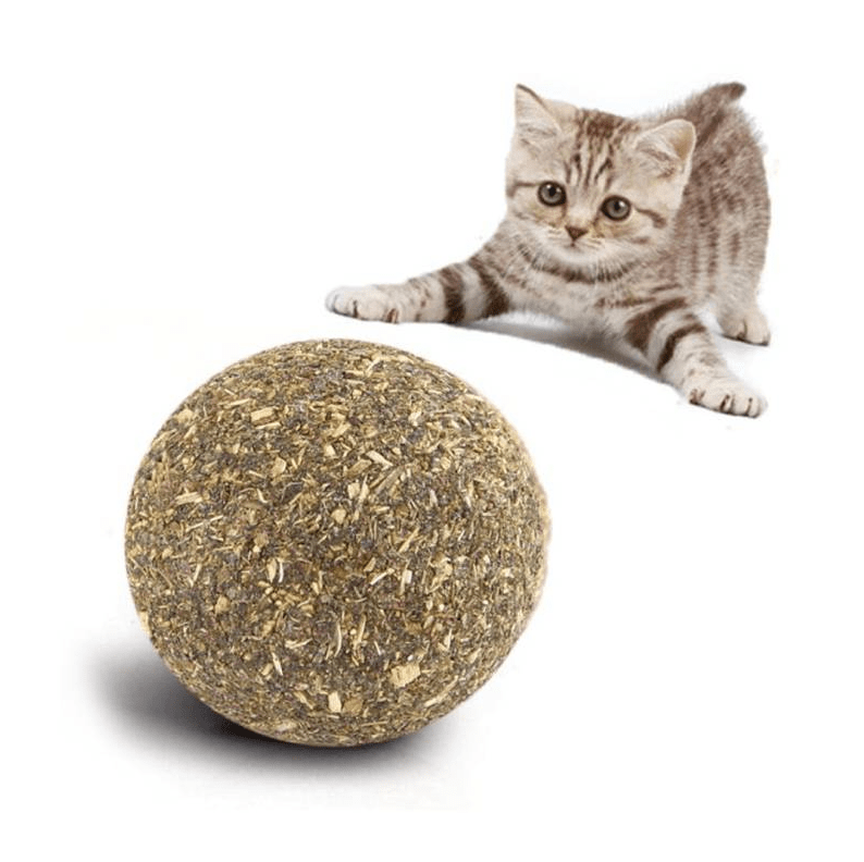 Bioline Catnip Ball