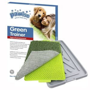 Pawise Green Trainer