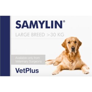 VetPlus Samylin Large Breeds 30 comprimidos